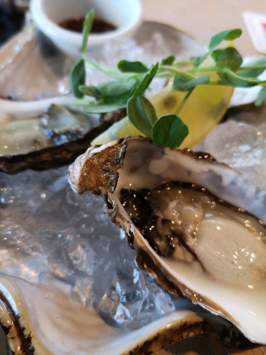 Fresh oysters at Leith Harbour