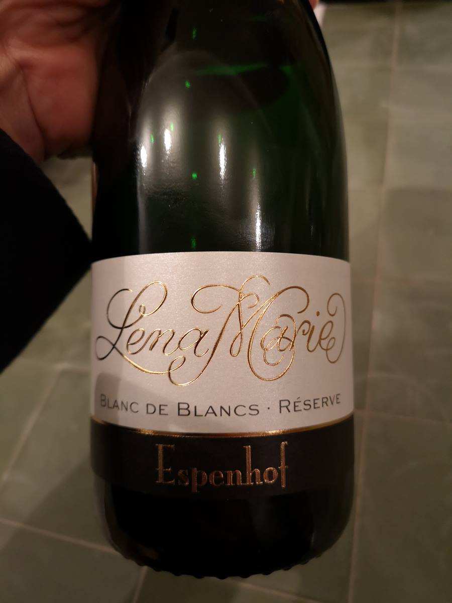 Blanc de Blanc Sekt Rheinhessen