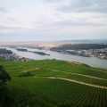 Blick von oben auf den Rhein beim Bikertreffen Magic Bike in Rüdesheim am Rhein