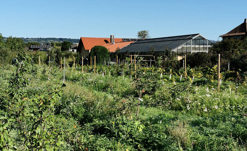 Genussgarten_Bingen