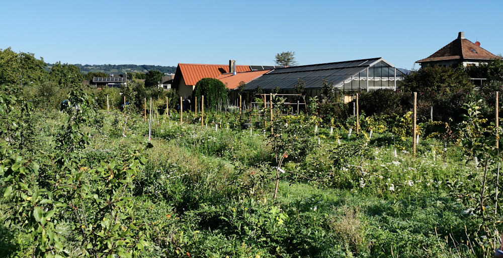 Intelligentes Licht macht Henkellpark sicherer - Wiesbaden lebt