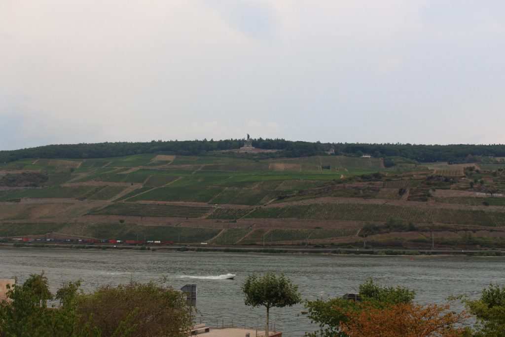 view at SPA Hotel Papa Rhein Bingen bei Frankfurt