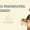 Goldacker; solawi, Gründer, Startup, Gemüse-Abo