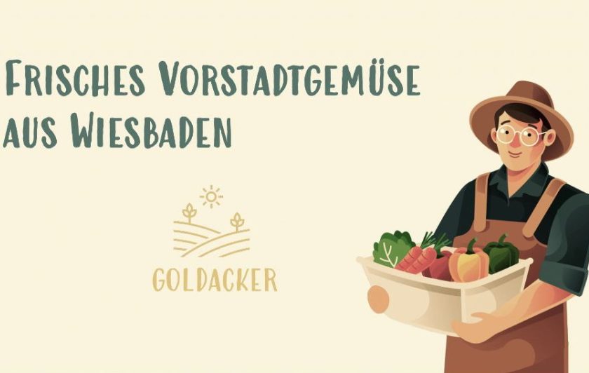 Goldacker; solawi, Gründer, Startup, Gemüse-Abo