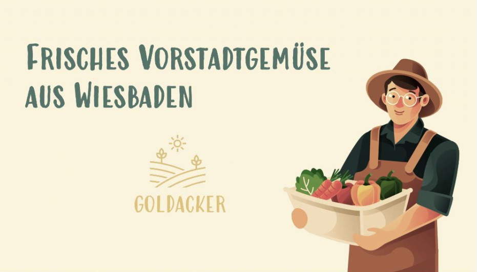 Goldacker; solawi, Gründer, Startup, Gemüse-Abo