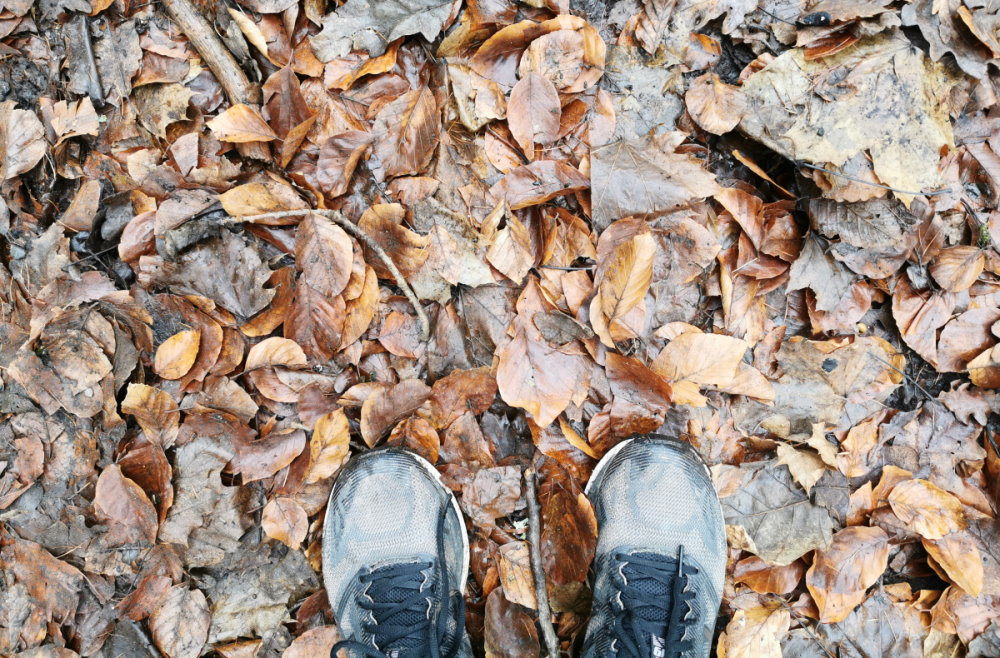 Jogging; joggingschuhe; Laufschuh; Laufen im Wald; Laub