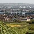 Oestrich-Winkel; Rheingau; Rhein