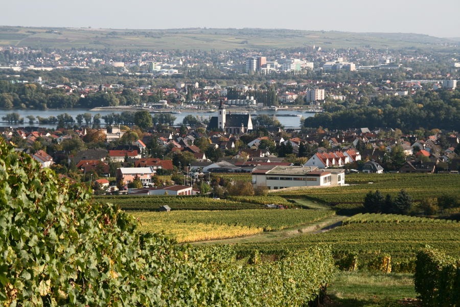 Oestrich-Winkel; Rheingau; Rhein