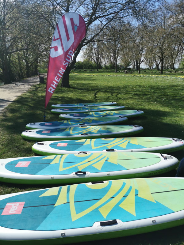 Rhein SUP Wiesbaden, Schiersteinerhafen, Yoga SUP, Standup Paddling