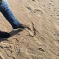 Yuccs Sneakers