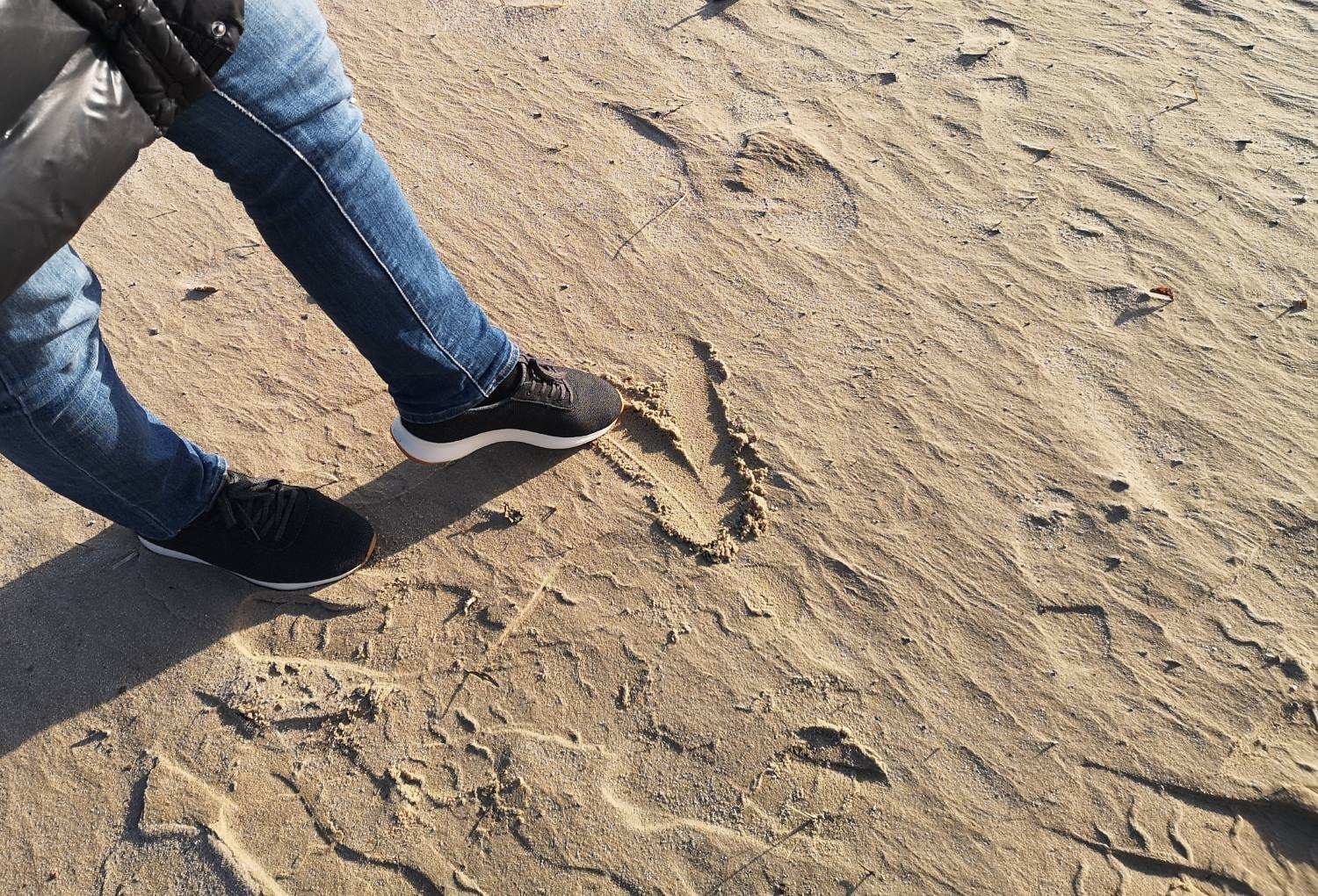 Yuccs Sneakers