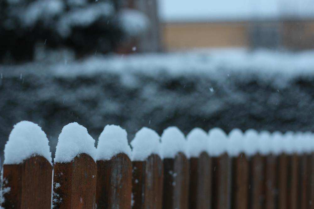 Zaun mit Schnee